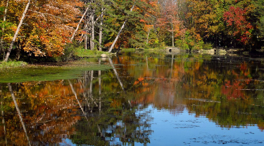 North Chagrin Reservation