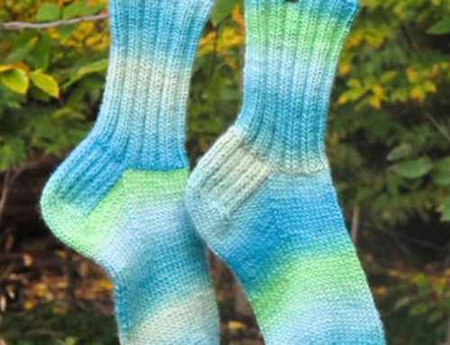 Cushy Chroma Socks